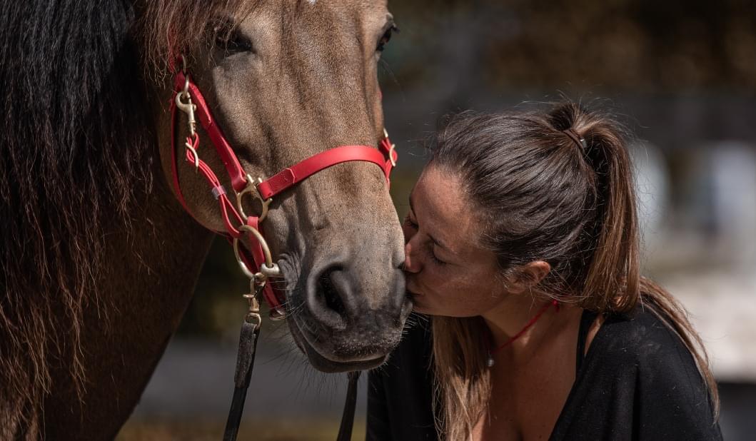 Dr. Sandra Löckener mit einem Pferd
